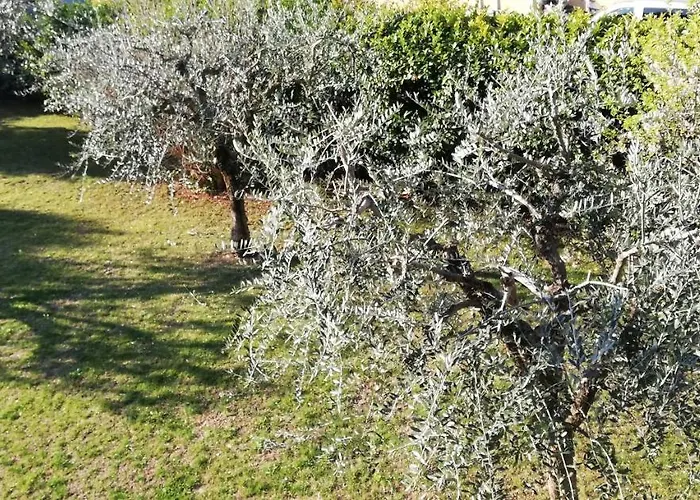 Il Melograno فندق مبيت وإفطار