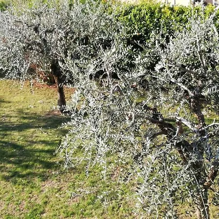 Il Melograno Bed and breakfast