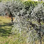 Il Melograno Bed and Breakfast